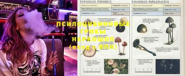 дистиллят марихуана Покров