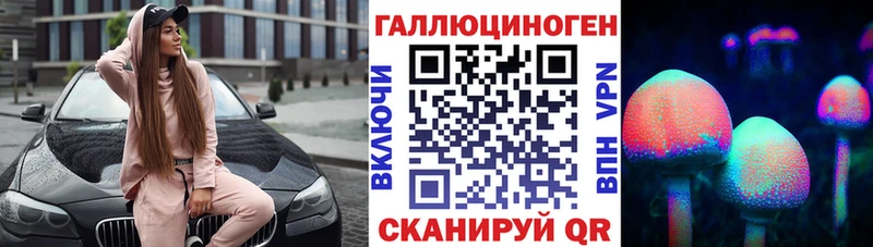 наркотики  Северобайкальск  Галлюциногенные грибы Cubensis 