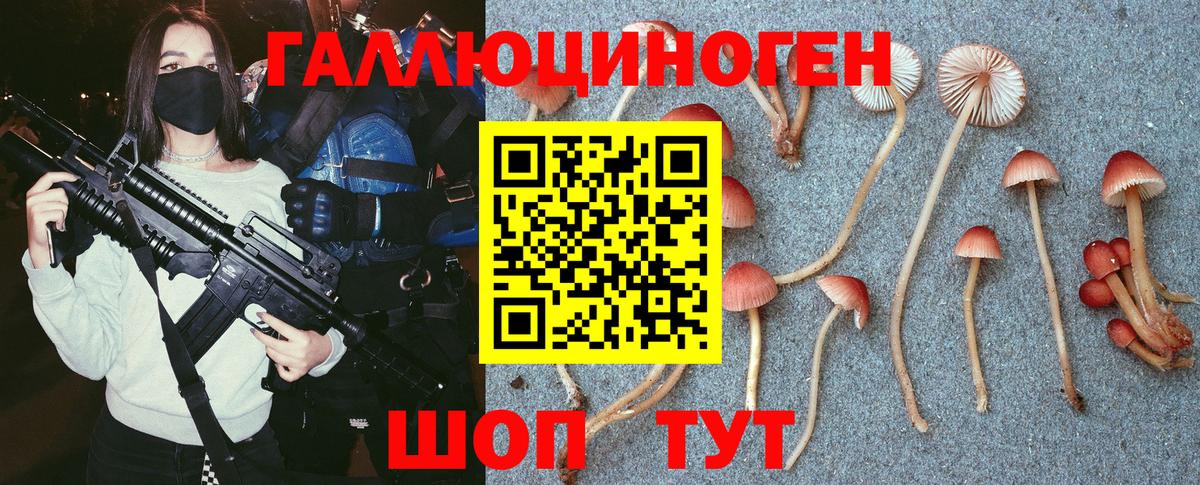 Галлюциногенные грибы Psilocybe  Галлюциногенные грибы прущие грибы  Северобайкальск 