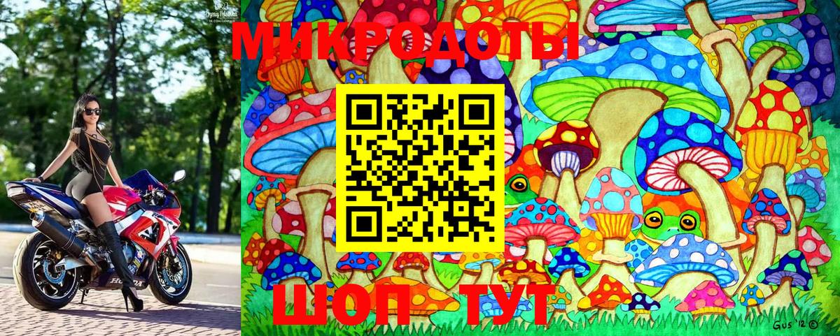 Галлюциногенные грибы MAGIC MUSHROOMS Северобайкальск