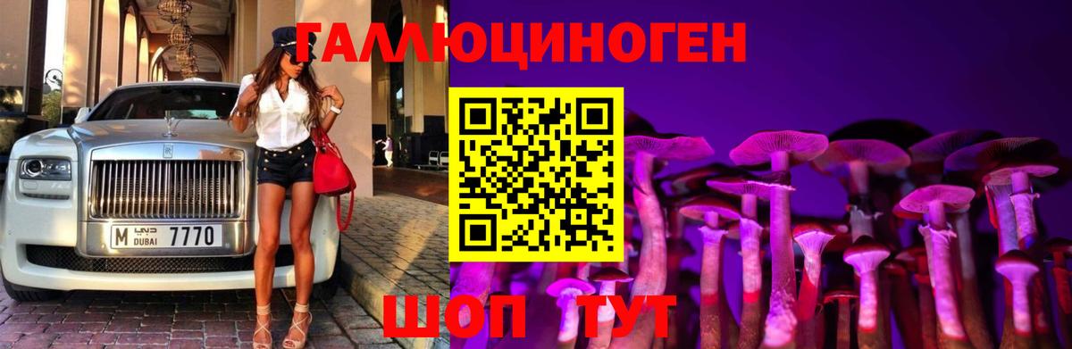 Северобайкальск  купить наркоту  Галлюциногенные грибы GOLDEN TEACHER  Вход с VPN  Псилоцибиновые грибы Psilocybe 