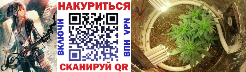 Марихуана сатива  сколько стоит  Северобайкальск 